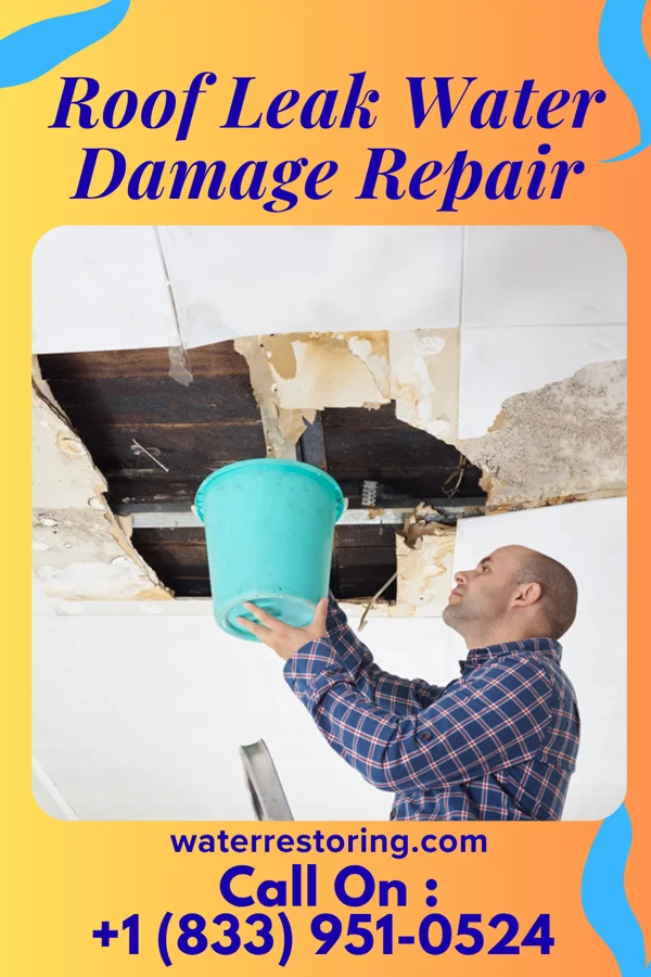 Roof Leak Water Damage Repair in Ketchum, ID